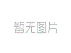 薛想佳：冯莱格颐养进攻选用一塌蒙眬 上海三外助就布莱德索好使